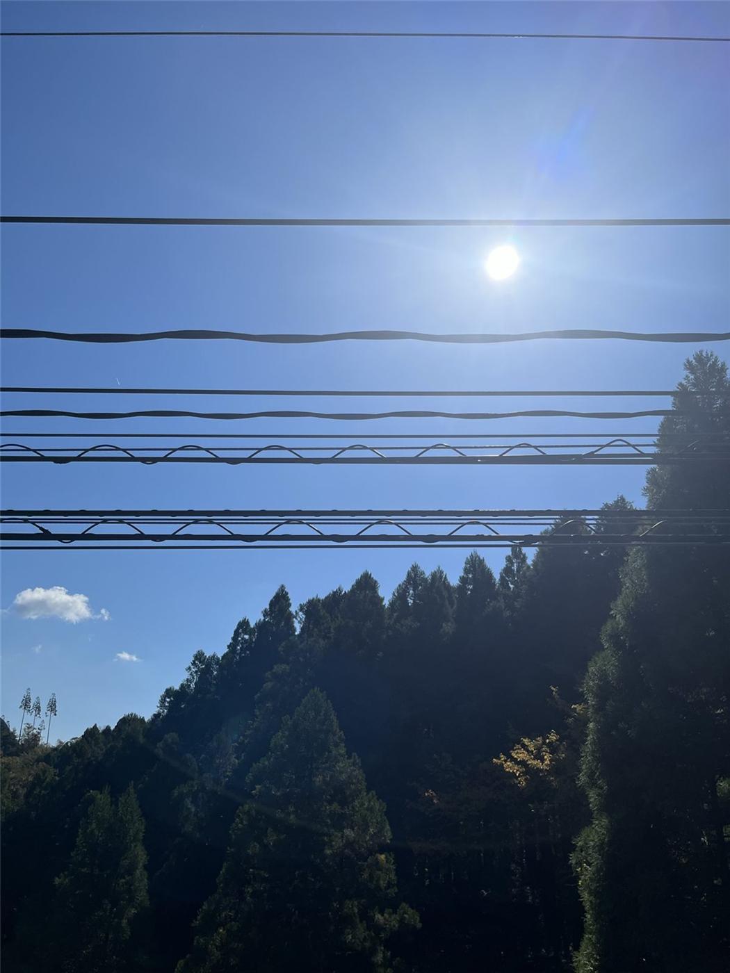 通信ケーブルと太陽