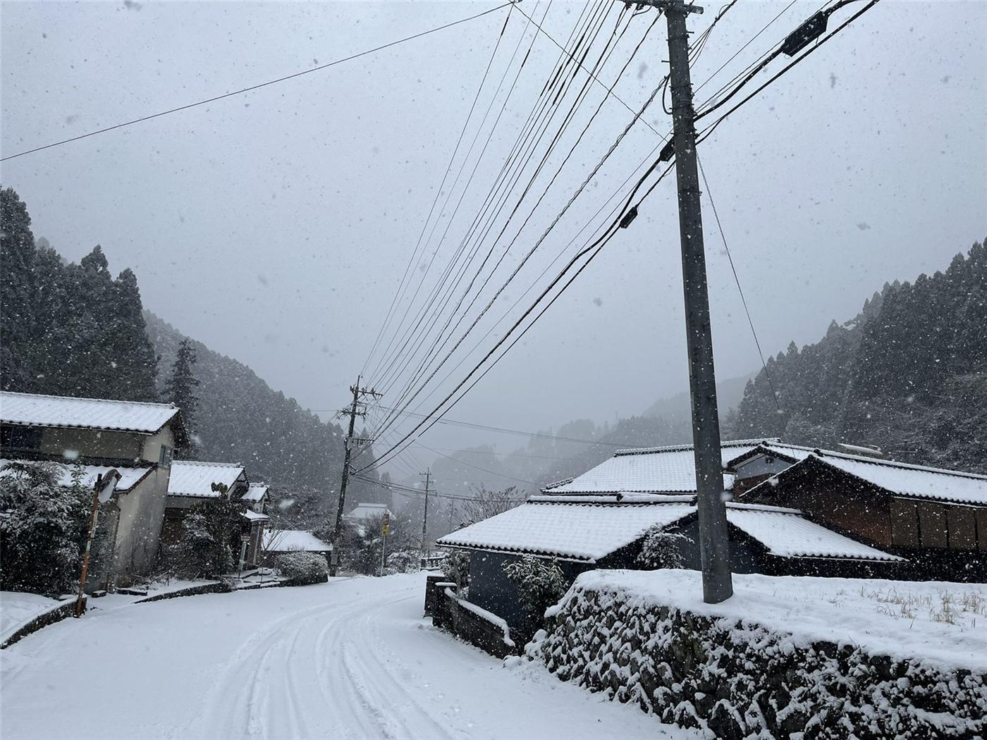 雪の日の現地調査